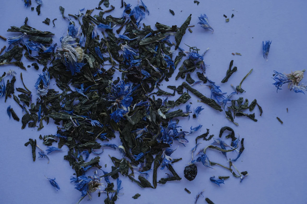 Macro botanical tea leaves — Blue & Williams cultivation