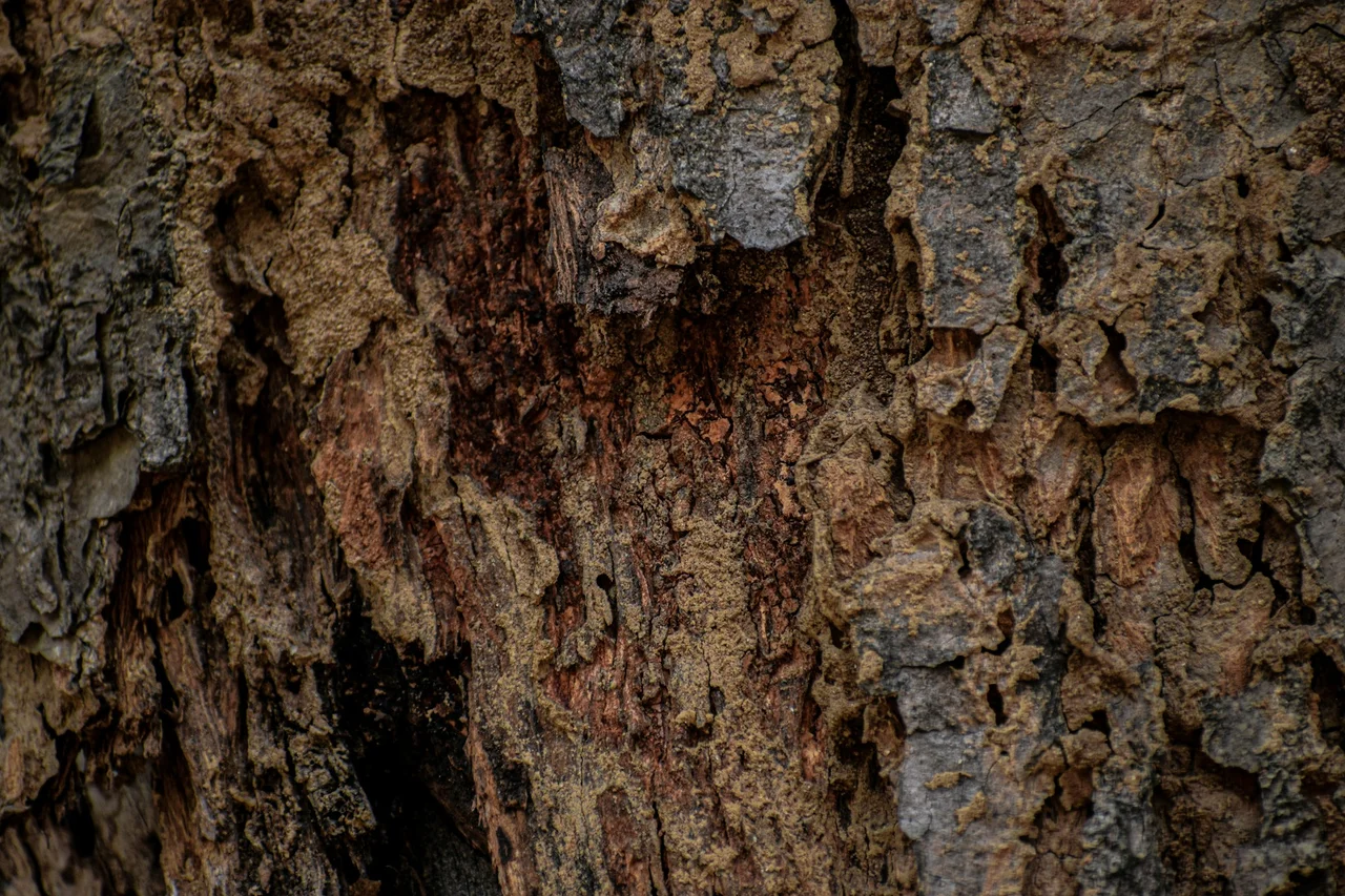 Natural botanical texture
